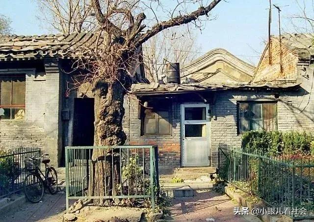 这才是北京人的真实生活,真实的北京本地人生活