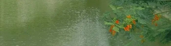 分享文章就能赚钱的app有哪些,分享经验写文章可以赚钱的app