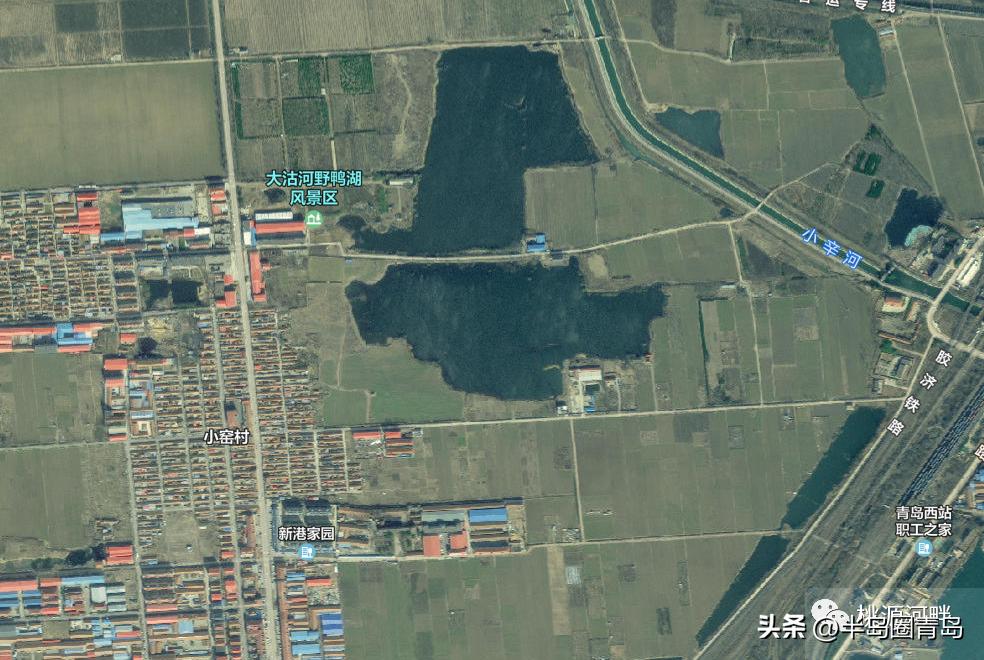 临空后花园！胶州富士康项目、水上乐园项目规划流出