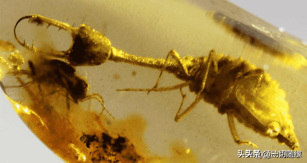 晚清真实：花楼女子媚态撩人，丰乳肥臀，30张老照片尽展风姿迷人