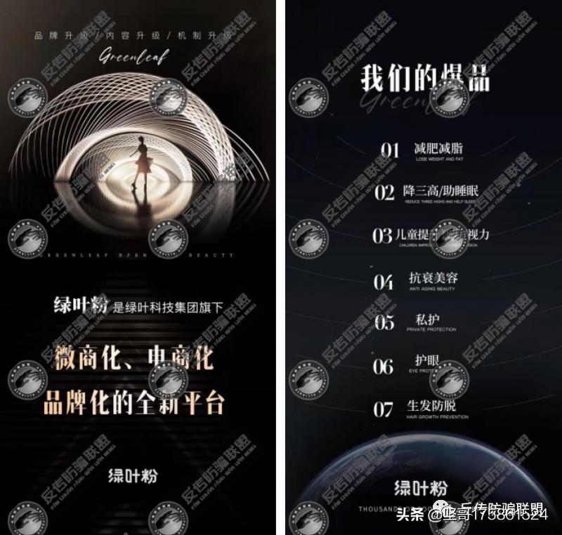 苏州绿叶为什么关闭了公司,苏州绿叶公司合法吗