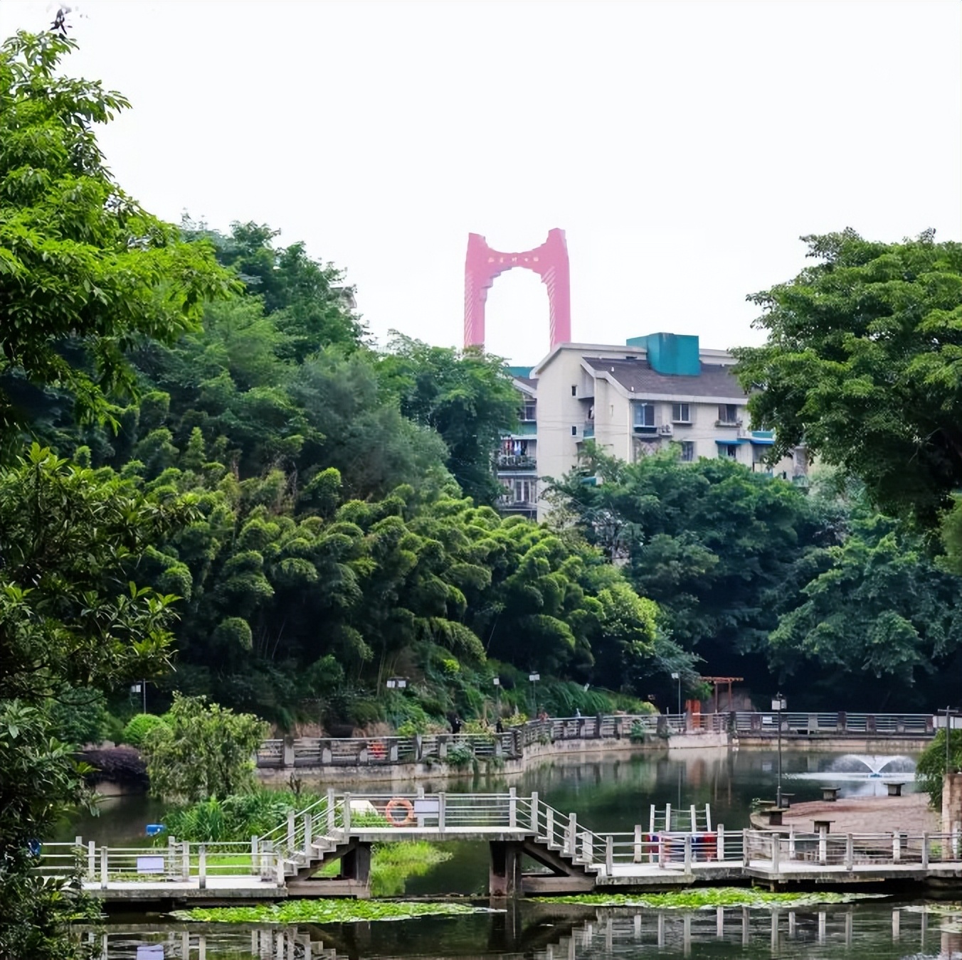 荷你有约周末去武隆逛荷花节可好,今夏荷你有约新余已开启赏荷模式