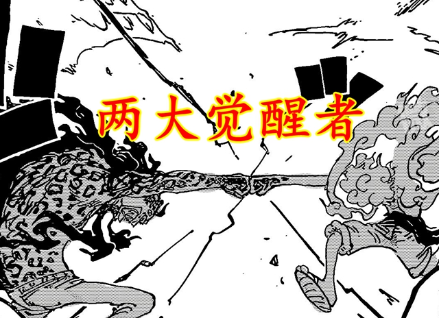 海贼王6大恶魔果实,海贼王1065的果实是什么