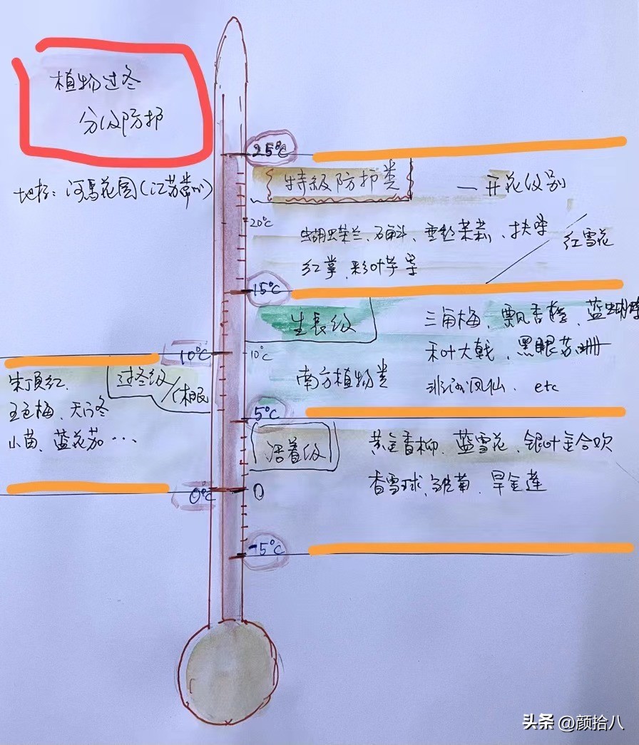 天冷怎么注意植物冻死,植物怕冷怎么过冬