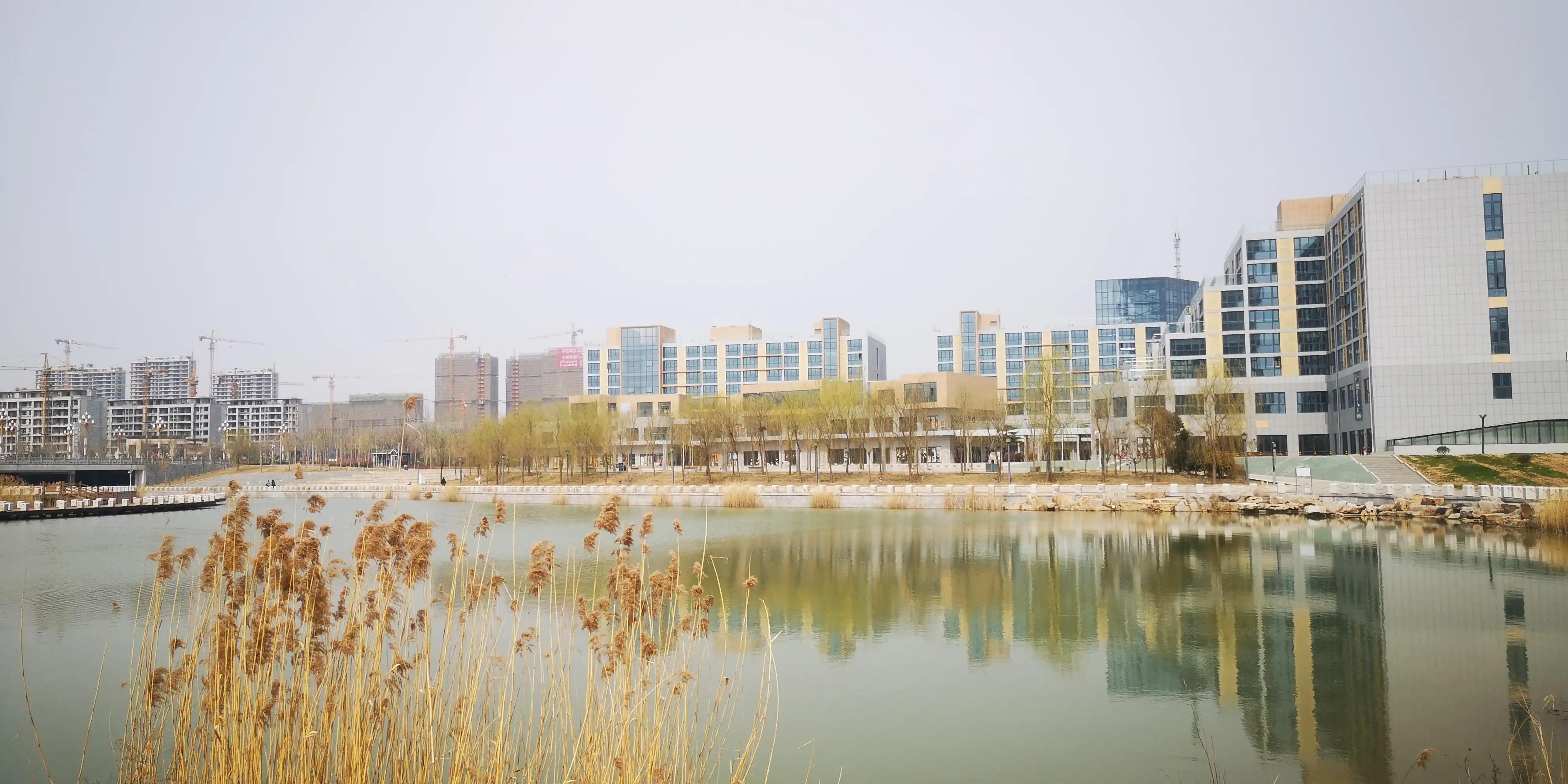 邹城最好的森林公园,邹城市好玩吗