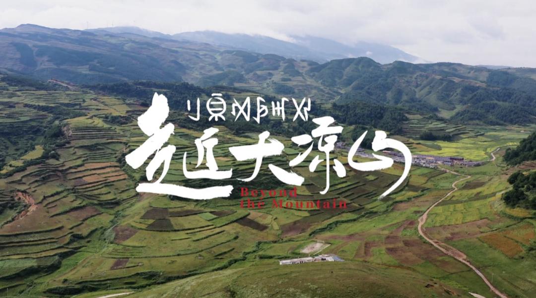 观察九丨多元协同齐发力，2021年纪录片制作机构表现盘点