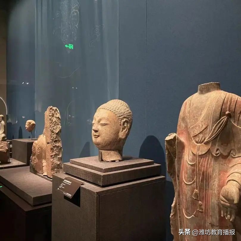 潍坊新亮点外国语学校,潍坊中新双语学校