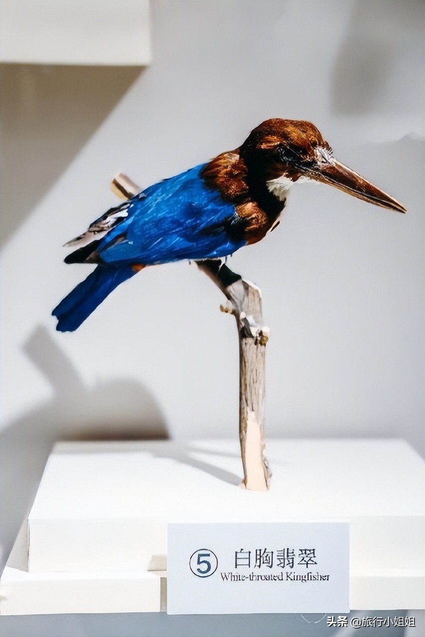 夏日海边浪漫迷人,滨城风光秀丽浪漫气息爆表