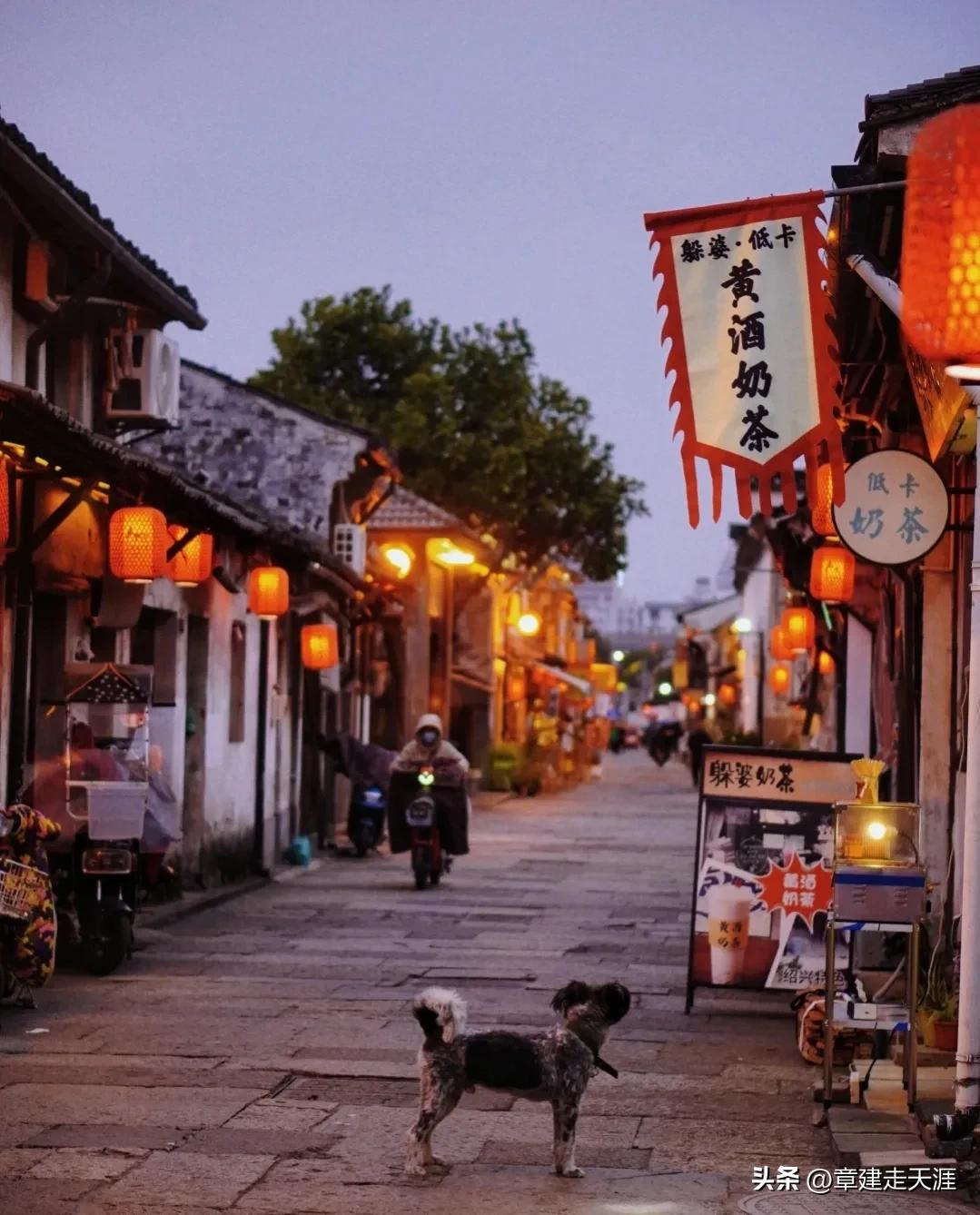 浙江绍兴避雷,绍兴抗老避坑指南