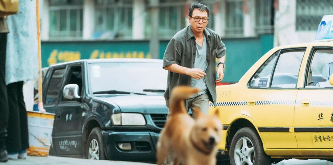 国产翻拍2019 (国内翻拍的电影吐槽)