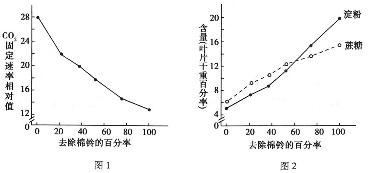 高中生物细胞代谢产生什么物质,高中生物细胞代谢视频