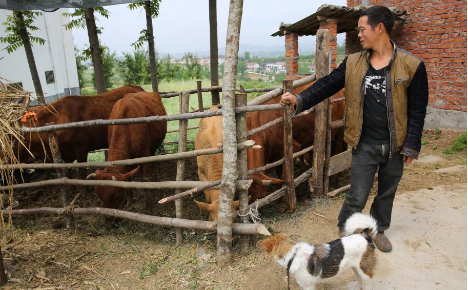 16年，岳父患癌岳母智障，入赘女婿打工挣20万盖新房，撑起一个家