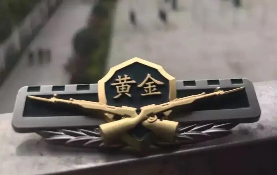 黑龙江最牛森警支队,黑龙江省公安厅警航总队