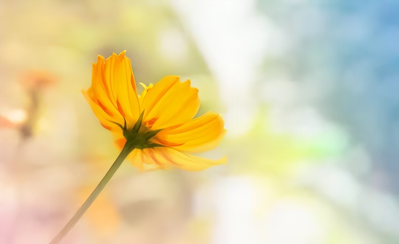 儿媳好不好全村人都知道,儿媳好不好娘家妈很重要