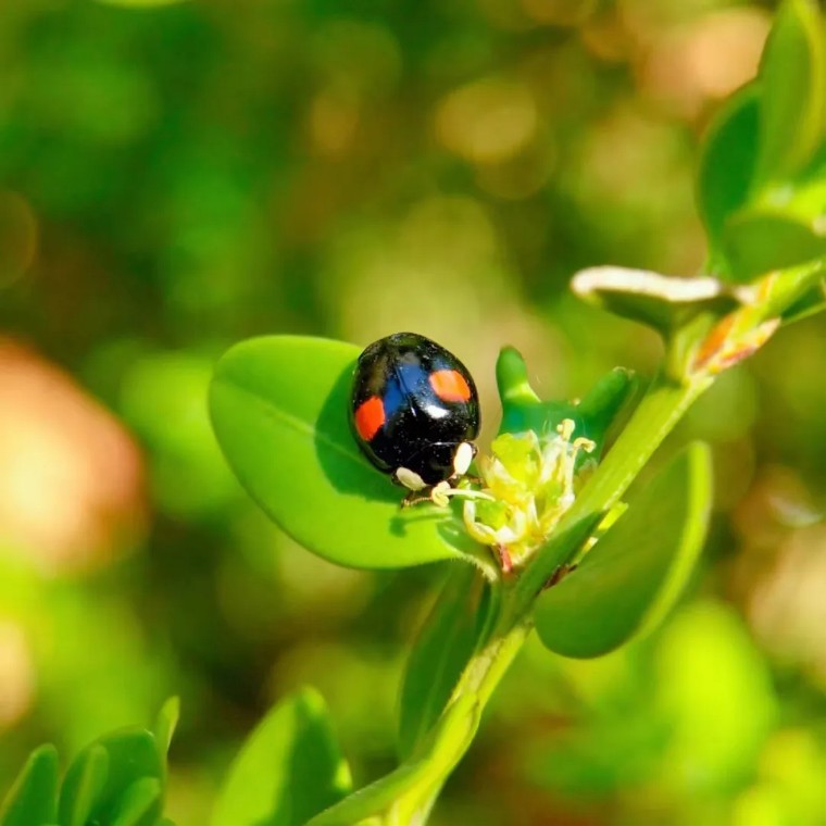 摄影图片二次构图,一张照片二次构图就会眼前一亮