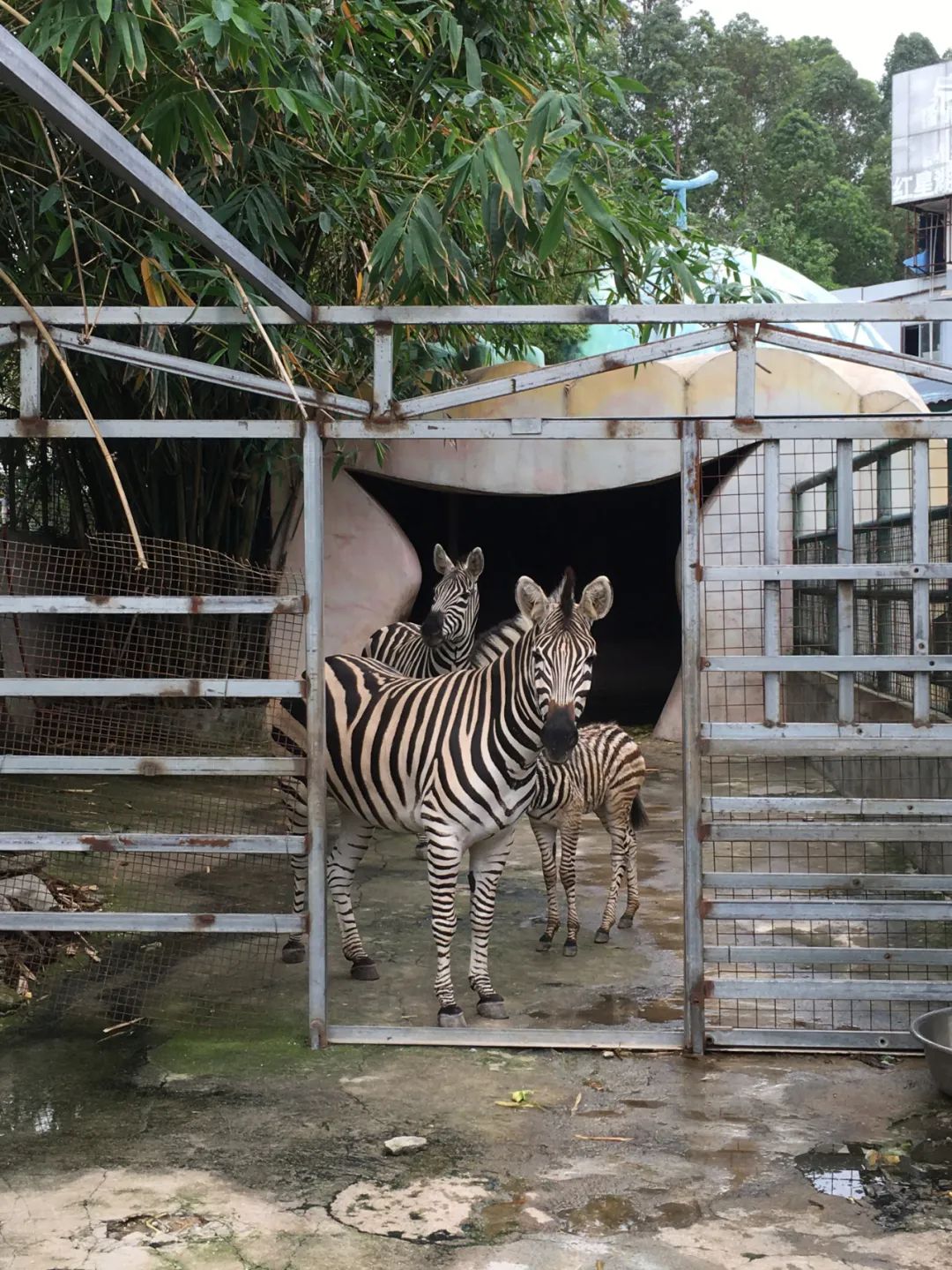 旭光电动车行,旭光车行向阳路