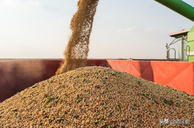 种子有哪些传播途径和方法,种子的传播方式七种