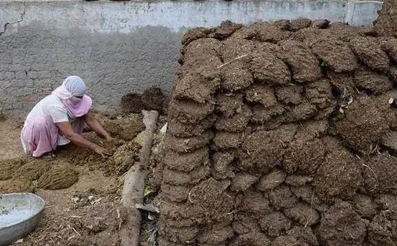 印度月球车飞行了多久到达月球,印度月船三号月球车