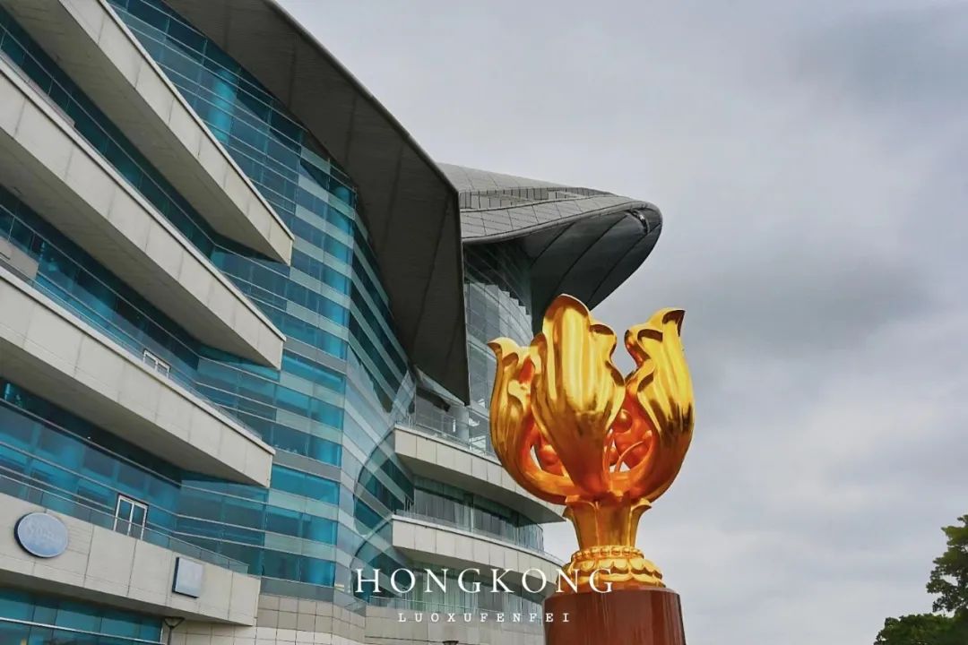 去香港旅游跟团需要签证吗,香港跟团旅游避坑攻略