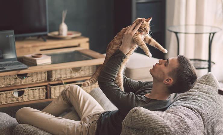 东营海创园,东营区海创园