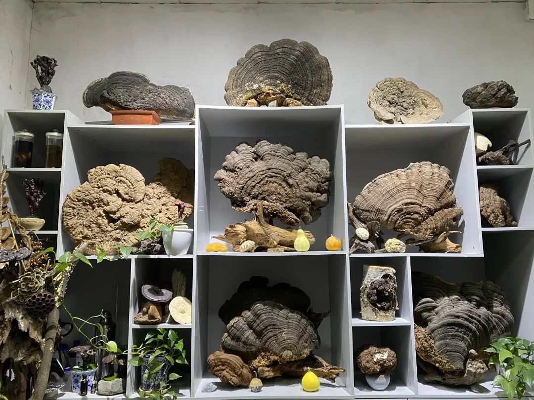 浙大博物馆十大镇馆之宝,浙大考古与艺术博物馆