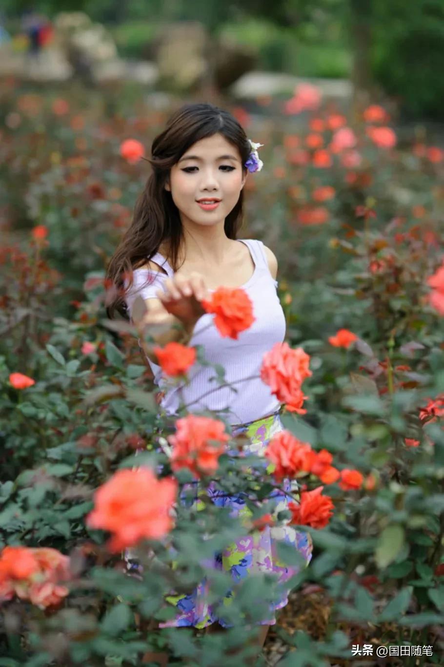 五月的玫瑰小说,五月的玫瑰情书