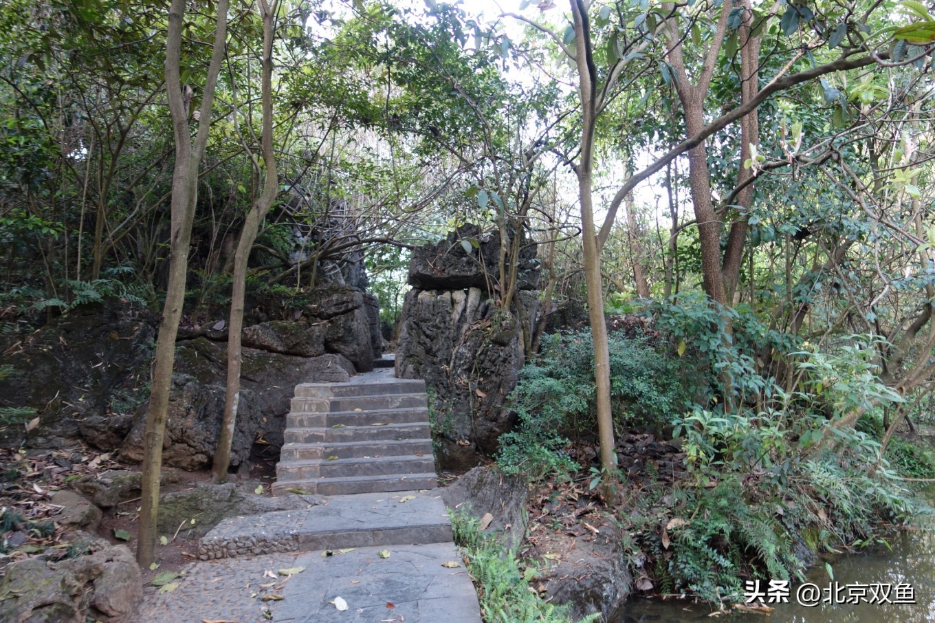 贵州黄果树最美的地方,贵州黄果树旅游攻略自由行