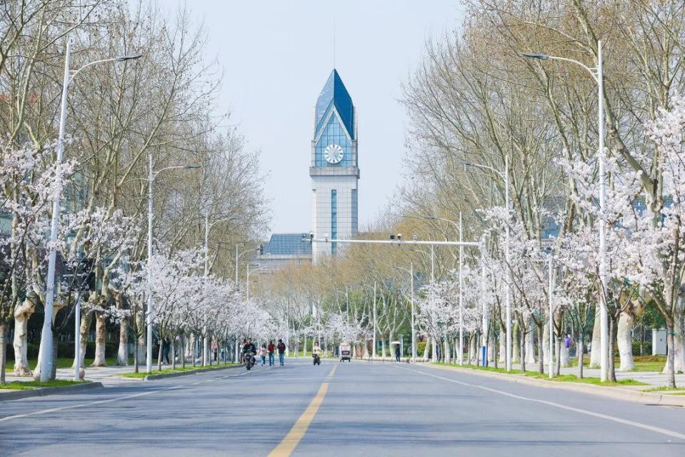 南京大学专业排名十大热门专业,就业率最高的十大专业及王牌院校