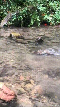 女友是太平公主,说女朋友是太平公主怎么哄