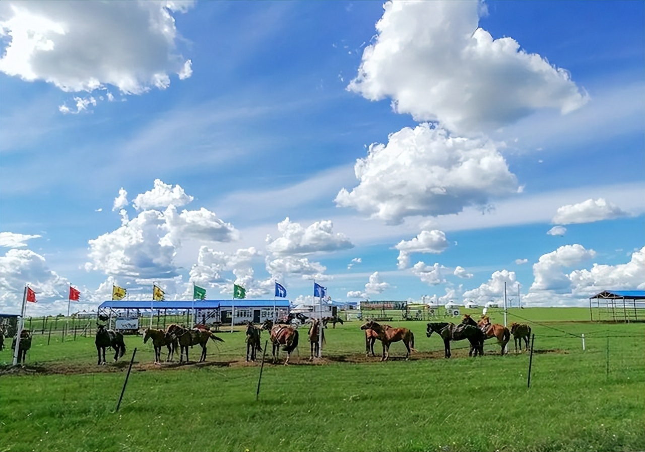 红军长征过草地有什么危险,长征时的草地危机四伏