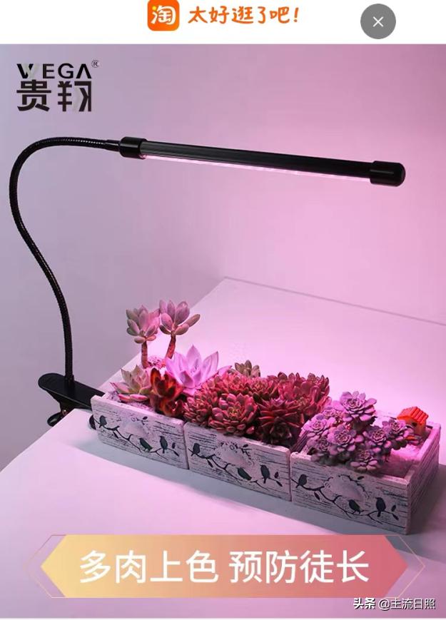 居家隔离囤货,疫情隔离囤货攻略