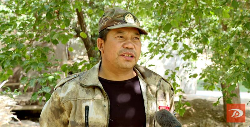 敦煌特产敦煌李广杏成熟上市,敦煌李广杏和其它李广杏的区别