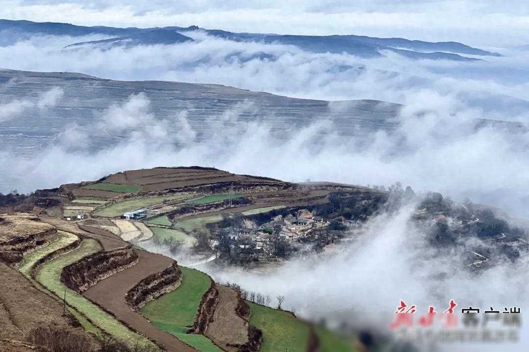 长宁新城皇冠世纪酒店,上海长宁酒店最新消息
