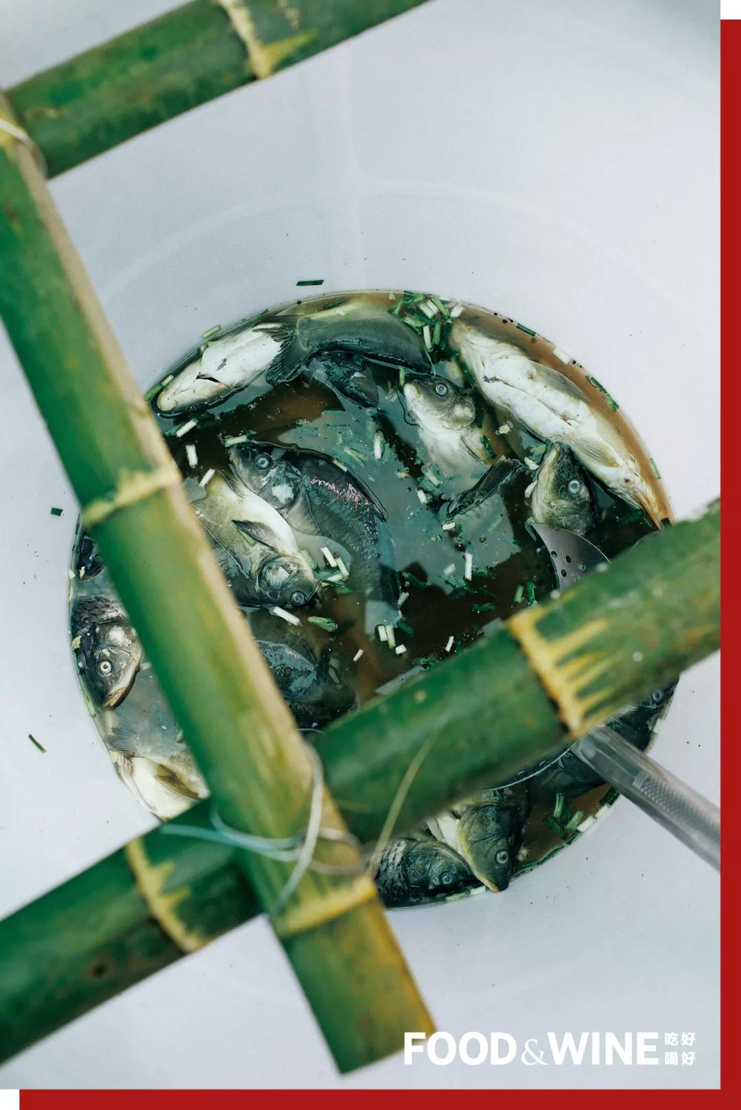 最美村宴第四辑丨四川苔草村·往后就都是好日子了