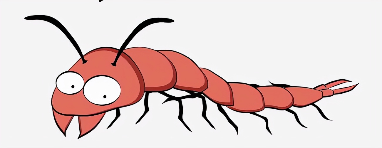 世界上已知的最大体型蜈蚣,世界上体型最长最大的蜈蚣