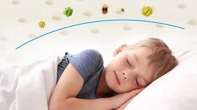 给大家好好介绍一下苏老伯家泰国有机乳胶床垫