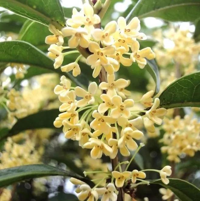 一念天堂一念地狱歌曲,一念天堂一念地狱全文阅读