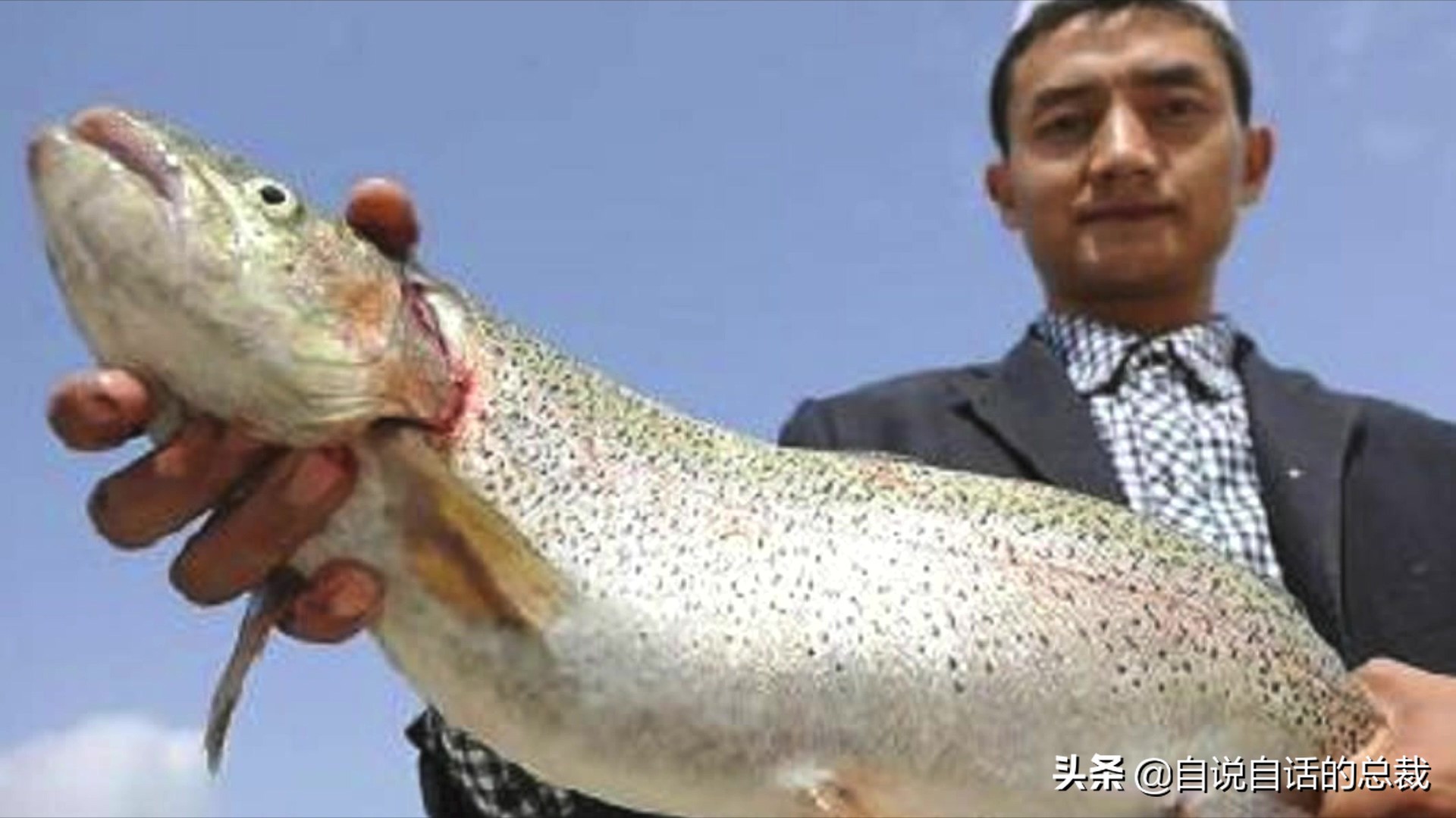 三文鱼水光真假分辨,哪种才是真正的三文鱼