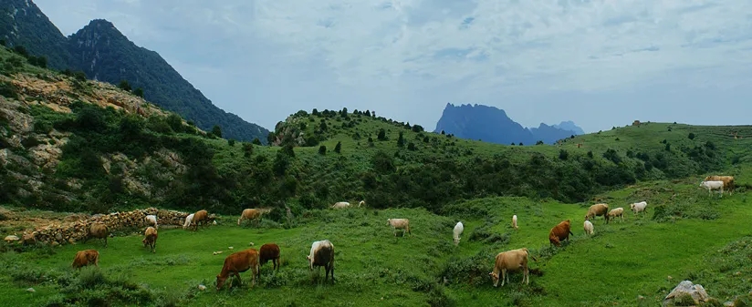 郑州周边打卡地点推荐,郑州附近免费打卡景点