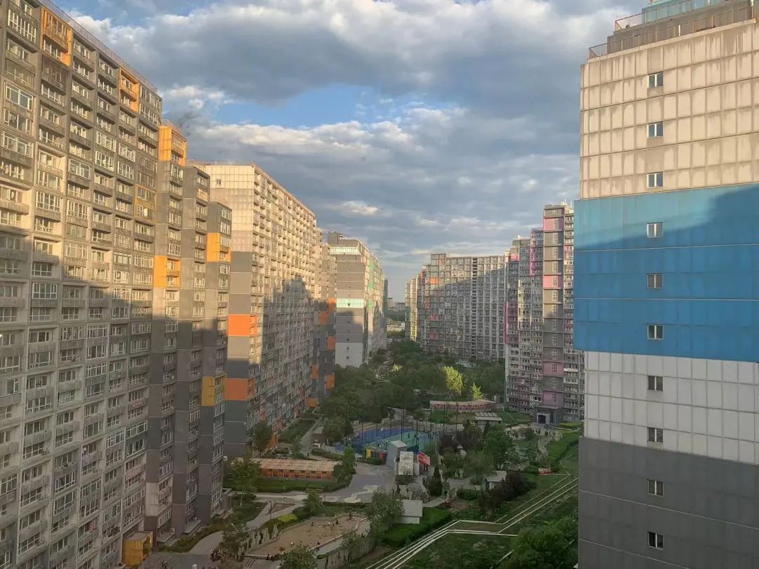 北漂神盘,北漂神片