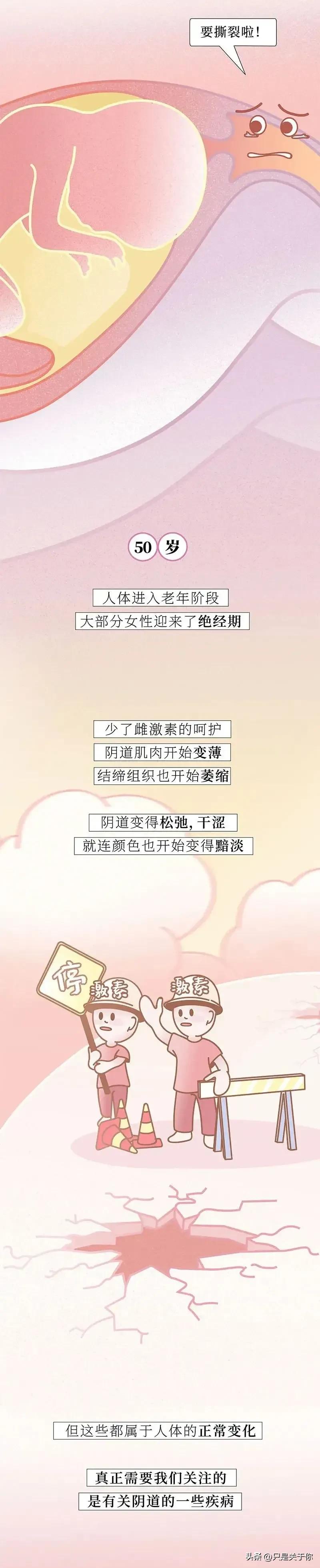 这是一篇关于女生阴道的科普漫画！