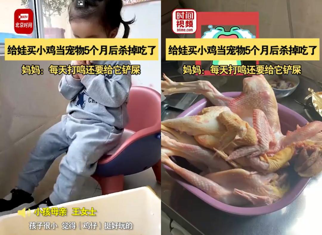 把孩子宠物煮熟来吃，还拍短视频博眼球？这种流量密码不要也罢
