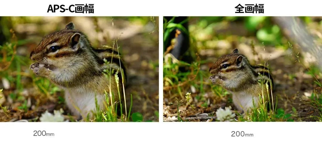 aps-c画幅与全画幅区别,m43aps-c全画幅中画幅大画幅