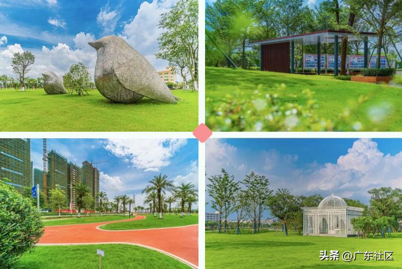 春季国内观鸟热门地,这份观鸟地图请收好