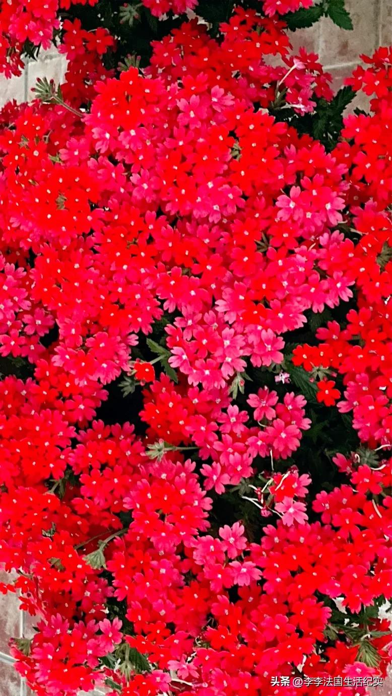 电脑屏幕伤眼有哪些解决方案,电脑屏幕伤眼睛怎么办