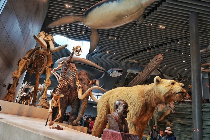 上海四天五夜旅游攻略,上海周边四天三夜攻略