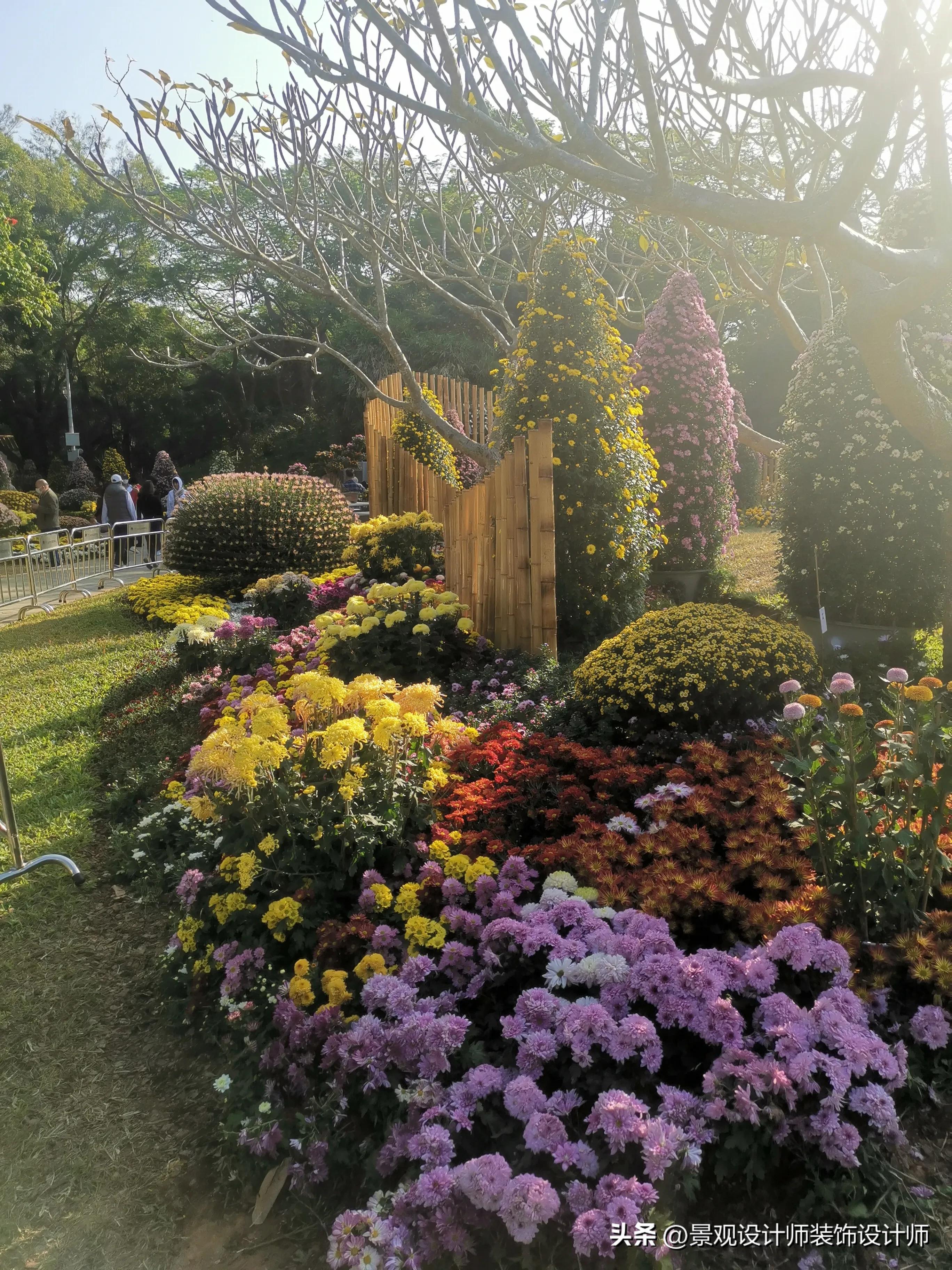 深圳市东湖公园广场舞,深圳市东湖公园收费标准