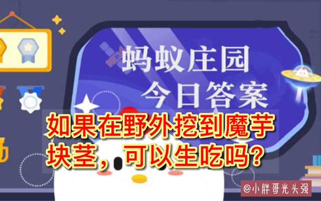 野外挖到的魔芋块根,如果在野外挖到魔芋块可以生吃吗