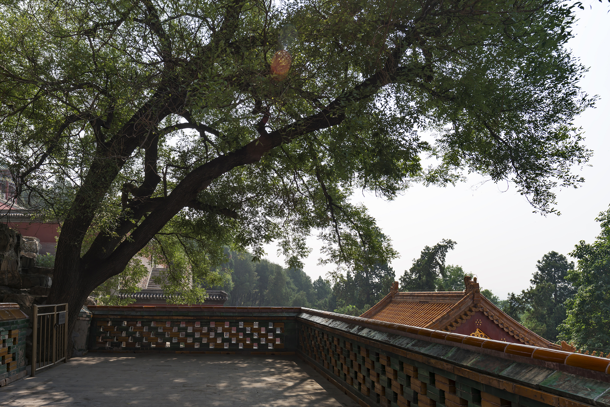 漫步北京颐和园,走颐和园长廊寓意