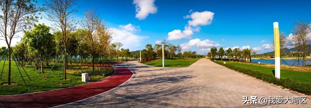 珠海春游赏花,珠海周边踏青景点